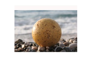 Постер для бильярда AFG Profi 05088, 70x50см.